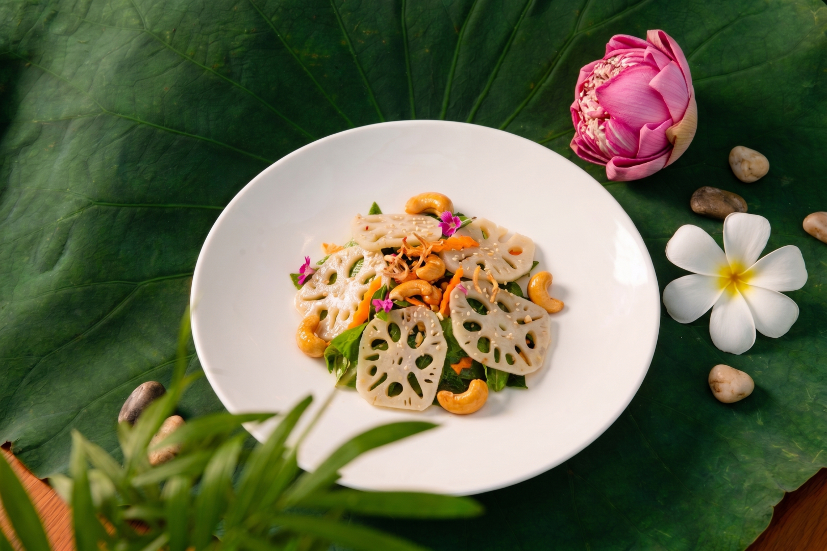 Salad Củ Sen Giòn tại La Fontaine: Khi sự tinh giản trở thành một nét xa xỉ